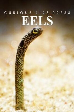 Cover of Eels - Curious Kids Press