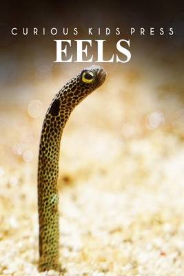 Book cover for Eels - Curious Kids Press