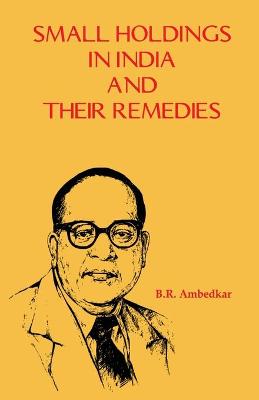 Book cover for Small Holdings in India and their Remedies