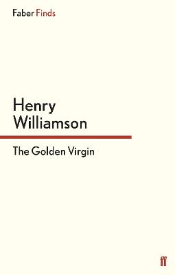 Book cover for The Golden Virgin