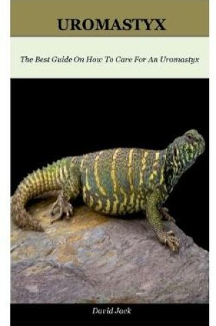 Cover of Uromastyx