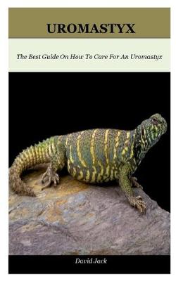 Book cover for Uromastyx