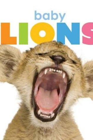 Cover of Baby Lions