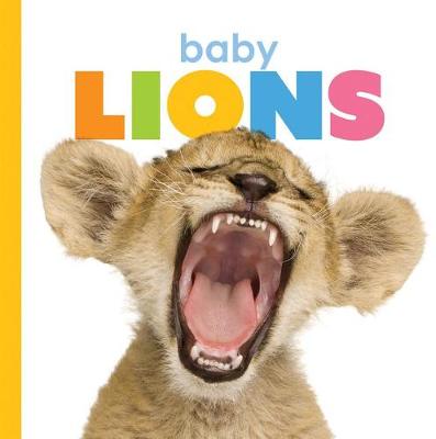 Book cover for Baby Lions