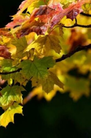 Cover of Maple Leaves Notebook