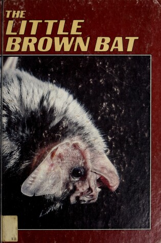 Cover of The Little Brown Bat