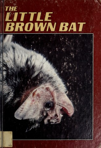 Book cover for The Little Brown Bat