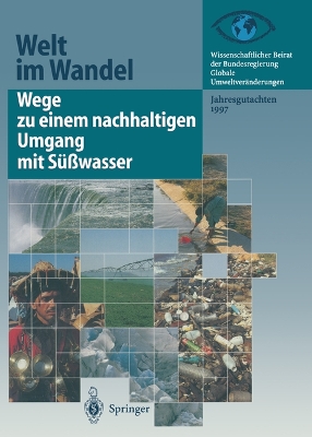 Book cover for Wege Zu Einem Nachhaltigen Umgang Mit Süßwasser