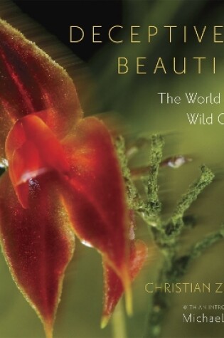 Cover of Deceptive Beauties