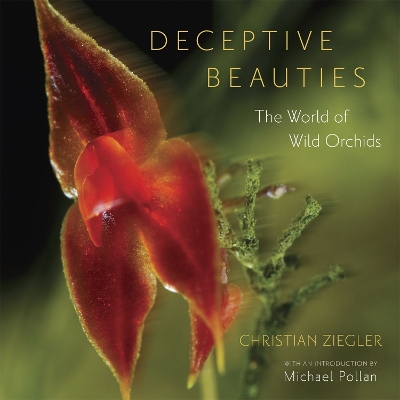 Book cover for Deceptive Beauties