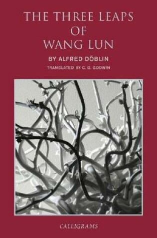 Cover of The Three Leaps of Wang Lun