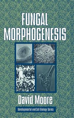Book cover for Fungal Morphogenesis
