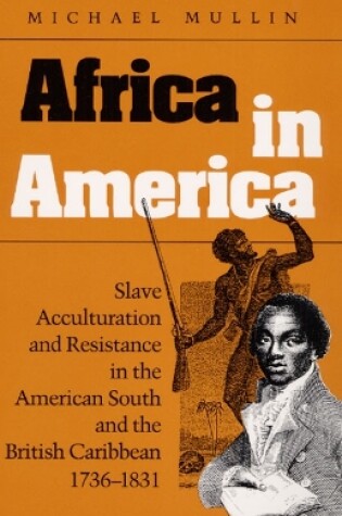 Cover of Africa in America