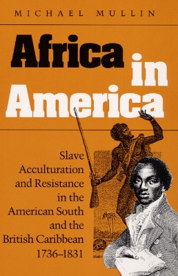 Cover of Africa in America