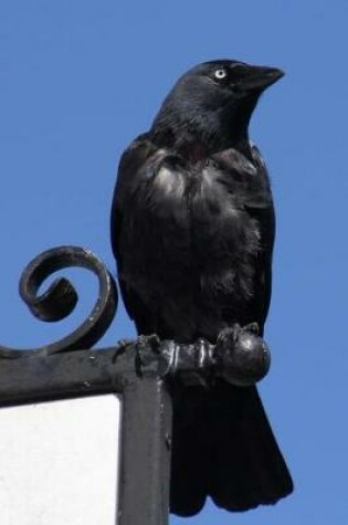 Cover of Jackdaw Bird Journal Crow