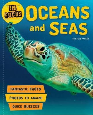 Book cover for In Focus: Oceans and Seas