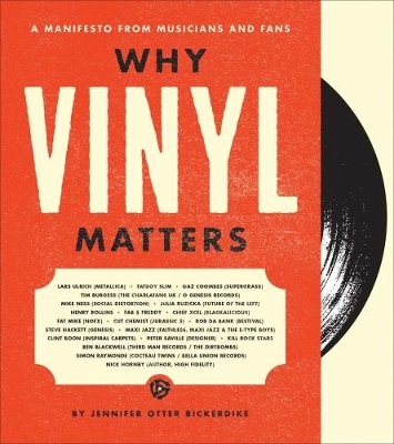 Book cover for Why Vinyl Matters