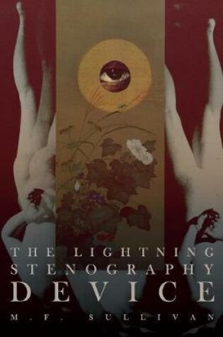 Cover of The Lightning Stenography Device