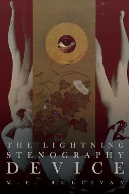 The Lightning Stenography Device by M F Sullivan