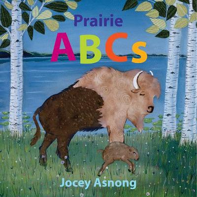 Book cover for Prairie ABCs