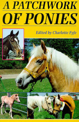 Cover of A Patchwork of Ponies