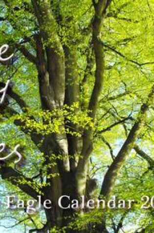 Cover of Joy of Trees - White Eagle Calendar 2015