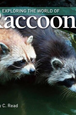 Cover of Exploring the World of Raccoons