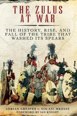 Book cover for The Zulus at War
