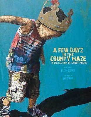 Book cover for A Few Dayz In The County Maze
