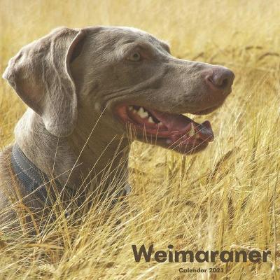 Book cover for Weimaraner Calendar 2021