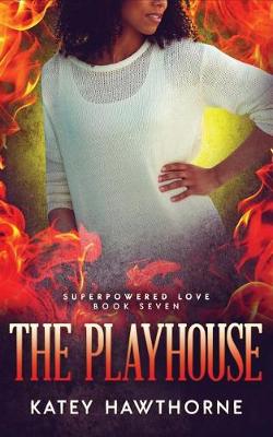 Book cover for The Playhouse