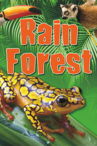 Cover of Rain Forest