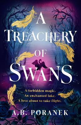 Book cover for A Treachery of Swans