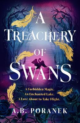 Book cover for A Treachery of Swans