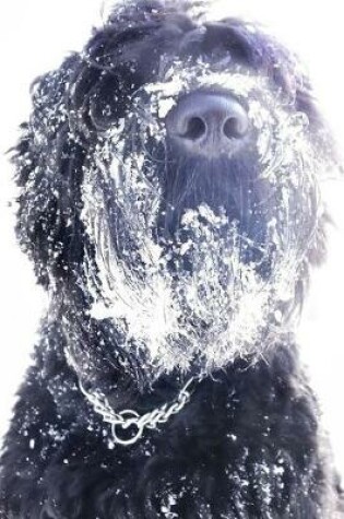 Cover of Black Russian Terrier with a Beard Full of Snow Journal