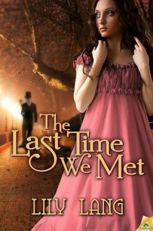 Cover of The Last Time We Met