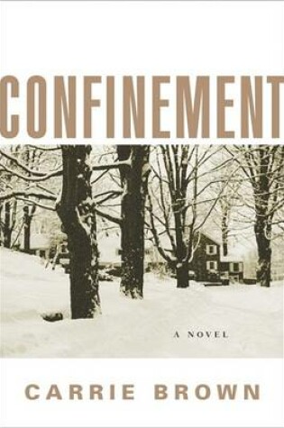 Cover of Confinement