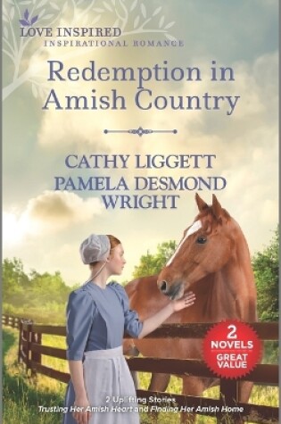 Cover of Redemption in Amish Country