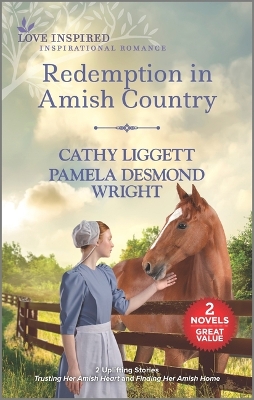 Book cover for Redemption in Amish Country