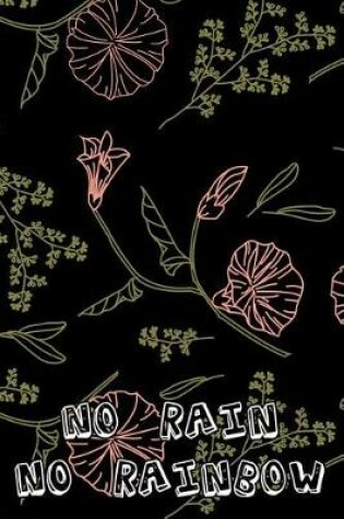 Cover of No rain no rainbow