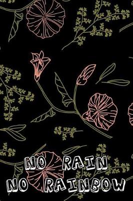 Book cover for No rain no rainbow