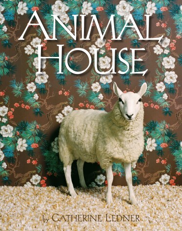 Book cover for Animal House