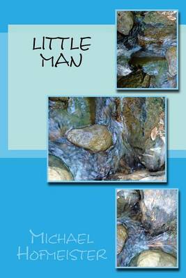 Book cover for Little Man