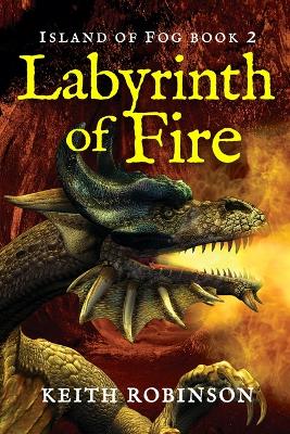 Book cover for Labyrinth of Fire