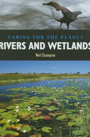 Cover of Rivers and Wetlands