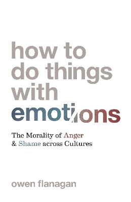 Book cover for How to Do Things with Emotions