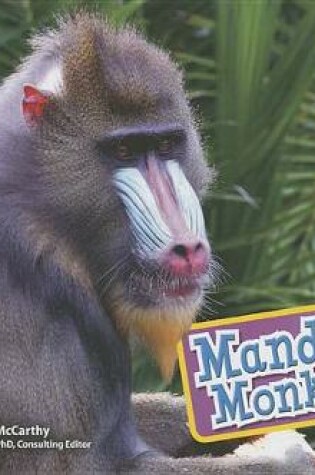 Cover of Mandrill Monkeys