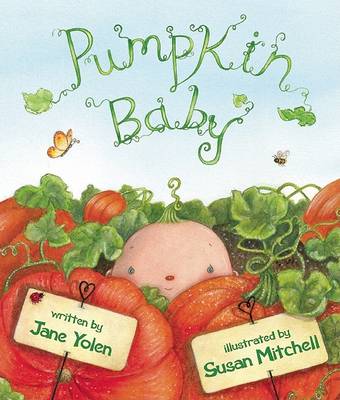 Book cover for Pumpkin Baby