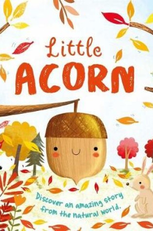 Cover of Nature Stories: Little Acorn