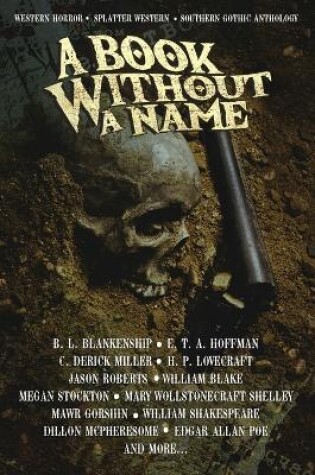 Cover of A Book Without A Name